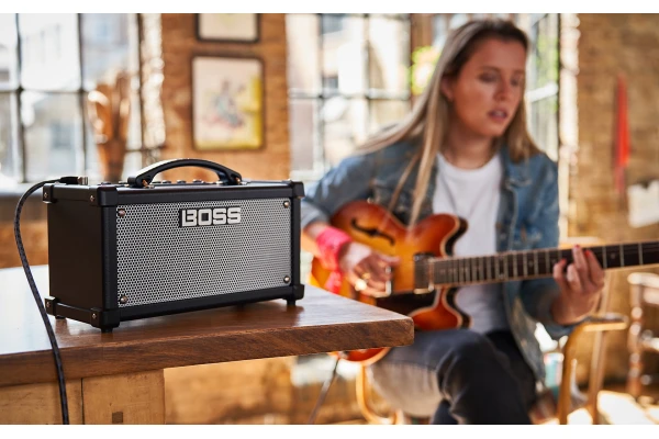 Boss Dual Cube LX — 4