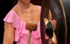Gong Meinl 22" Thai Gong