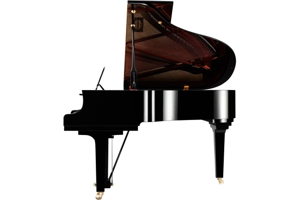 Yamaha C2X PE — 4