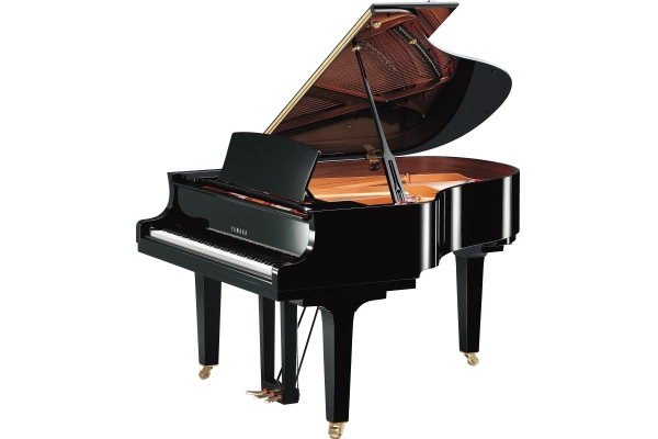 Yamaha C2X PE