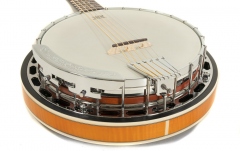 Guitar Banjo Tennessee Premium 6