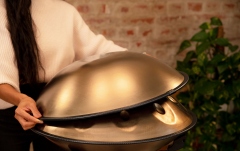 Handpan Meinl Sonic Energy Sensory Handpan D Kurd HPSTL90