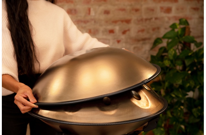 Handpan Meinl Sonic Energy Sensory Handpan D Kurd HPSTL90