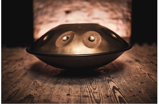 Handpan Meinl Sonic Energy Sensory Handpan D Kurd HPSTL90