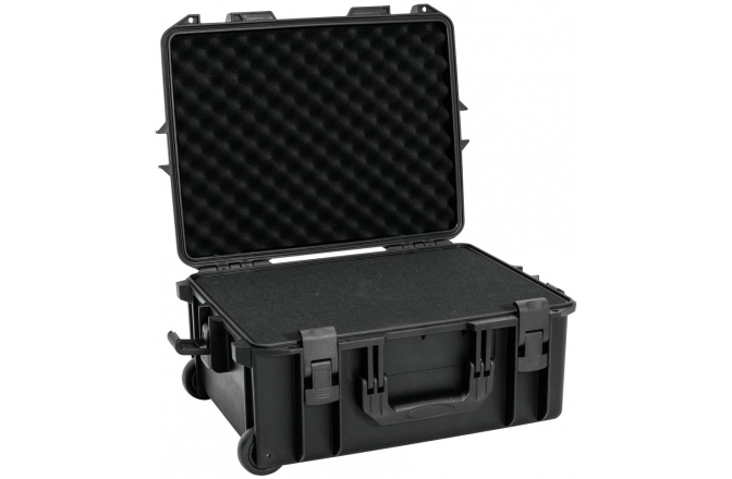 Hardcase pentru seria Laserworld  Laserworld Purelight Case