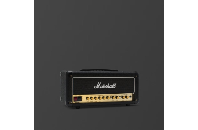 Head Chitară Electrică Marshall DSL20HR