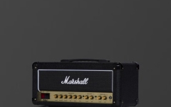 Head Chitară Electrică Marshall DSL20HR