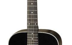Hora Reghin Standard Western 12S 12205