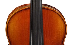  Hora Reghin Vioara V100