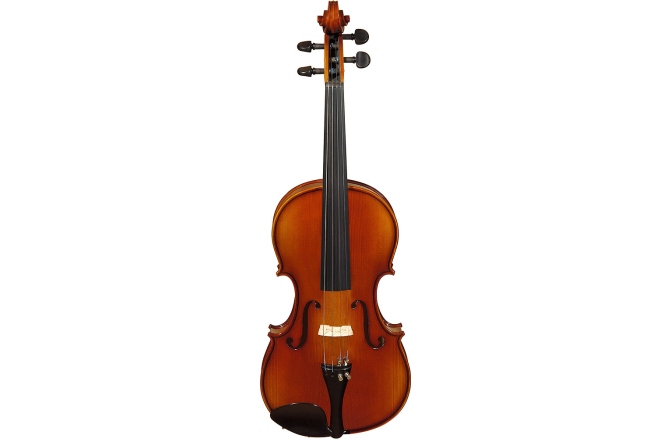 Hora Reghin Vioara V100