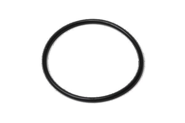 O-ring black 25x