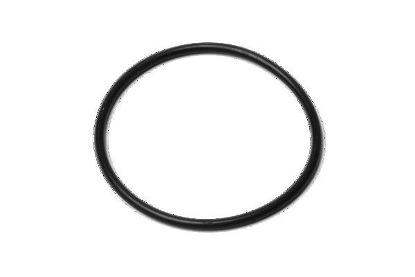 O-ring black 25x