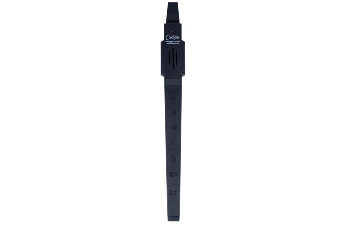 Instrument de Suflat Digital Carry-On Digital Wind Instrument Black