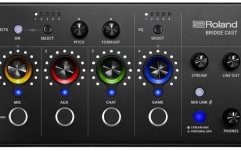 Interfață Audio USB pentru Gaming Roland Bridge Cast