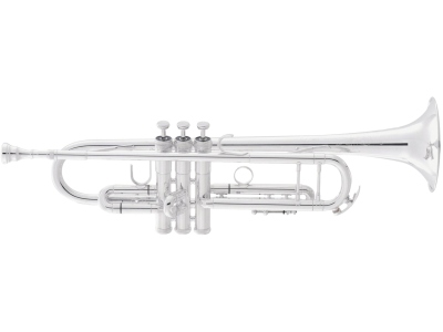 2055T Silver Flair 
