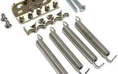 Kit accesorii bloc tremolo Floyd Rose AxLabs APTCNI - Tone Claw Locking Spring Claw, Nickel