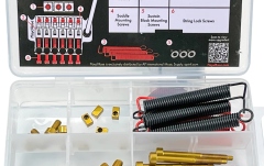 Kit hardware Floyd Rose® Floyd Rose  FRUK1-SS-GD - Color Stainless Steel Hardware Upgrade Kit, Gold