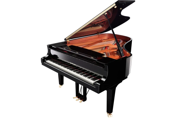 Yamaha C6X PE — 3