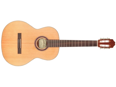 Camellia Soloist Series