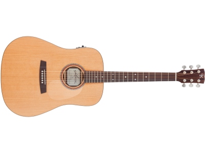 Dreadnought F10C Solid Red Cedar/Indian Rosewood Veneer