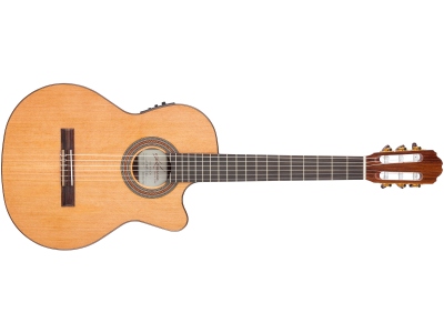 Performer F65CW Solid Red Cedar/Indian Rosewood Veneer