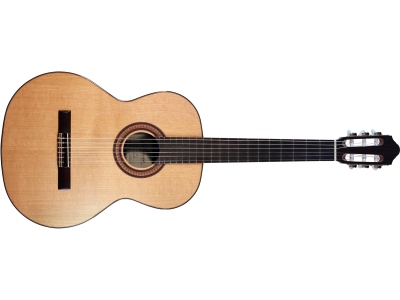 Soloist Fiesta F65C Solid Red Cedar/Indian Rosewood Veneer