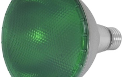 Lampă PAR Omnilux PAR-38 230V 15W LED green