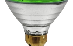 Lampă PAR Omnilux PAR-38 230V/80W E-27 FL green