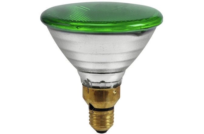 Lampă PAR Omnilux PAR-38 230V/80W E-27 FL green