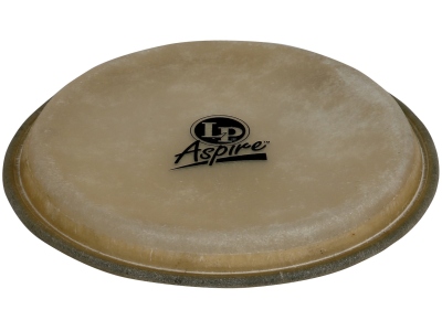 Aspire EZ Curve Rims 8