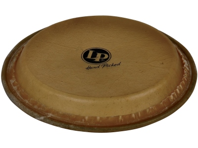  Hand Picked LP-JRX Junior Congas 8