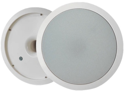 SW-100T Subwoofer