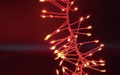 Lumină decorativă Eurolite 500 LED Cluster String Lights 5m red