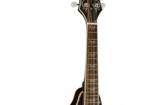 Mandolina electro-acustică Fender A-53S Concert Tone VS
