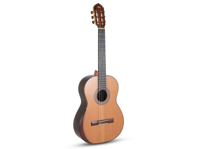 Magistral Serie F-C ind. Palisander all solid Cedar/Rosewood