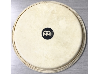 Head 12 1/2