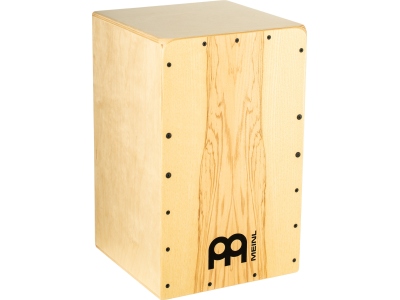 Snarecraft 100 - Heart Ash