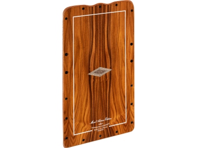 Spare Frontplate for AESELRW (rectangular cut out)
