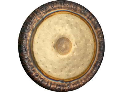 Symphonic Tam Tam, 50