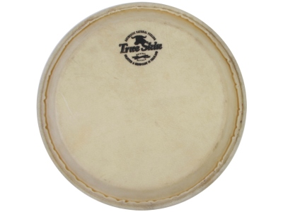 True Skin conga head - 12 1/2