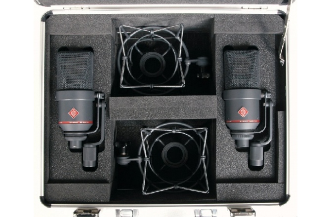 Set stereo de microfoane Neumann TLM 170 R mt