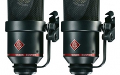 Set stereo de microfoane Neumann TLM 170 R mt
