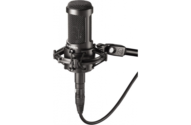 Microfon condenser Audio-Technica AT2050