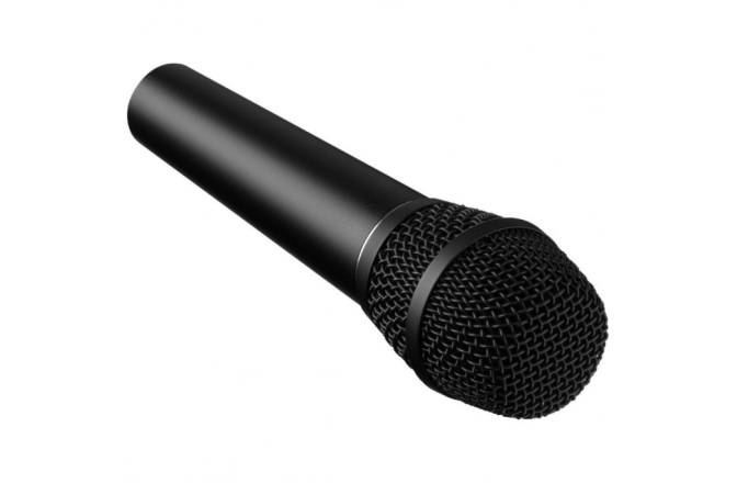 Microfon condenser <br /> Earthworks SR117
