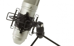 Microfon condenser Tascam TM-80