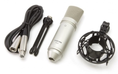 Microfon condenser Tascam TM-80
