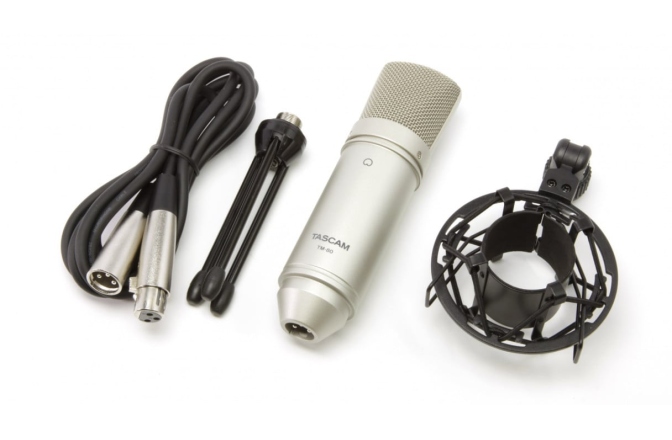 Microfon condenser Tascam TM-80