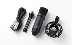 Microfon condenser Tascam TM-80(B)