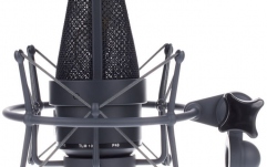Set de studio cu un microfon Neumann TLM 103 mt cu suspensie elastica.