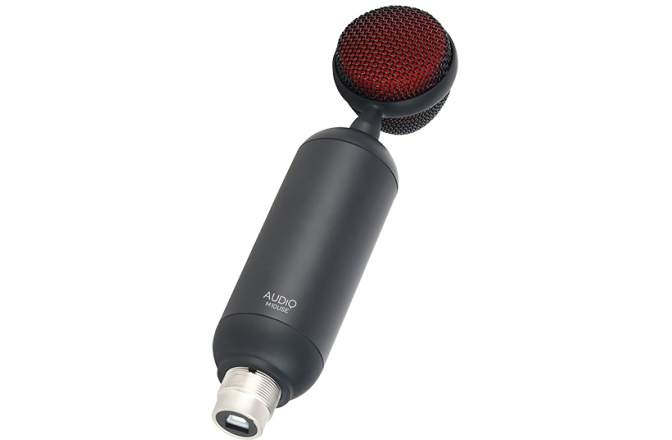 Microfon Podcasting ROQ Audio M10USE